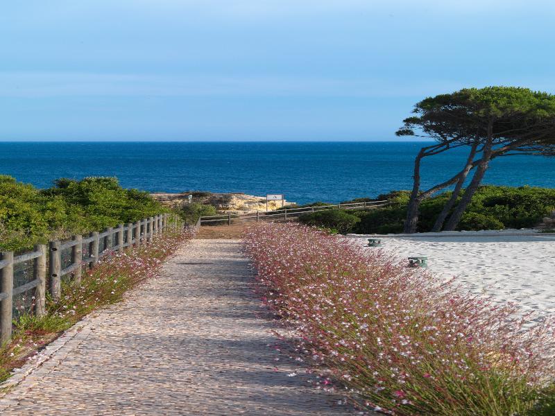 Vila Alba Resort Carvoeiro  Exterior photo The beach at the Fort of St Lucian